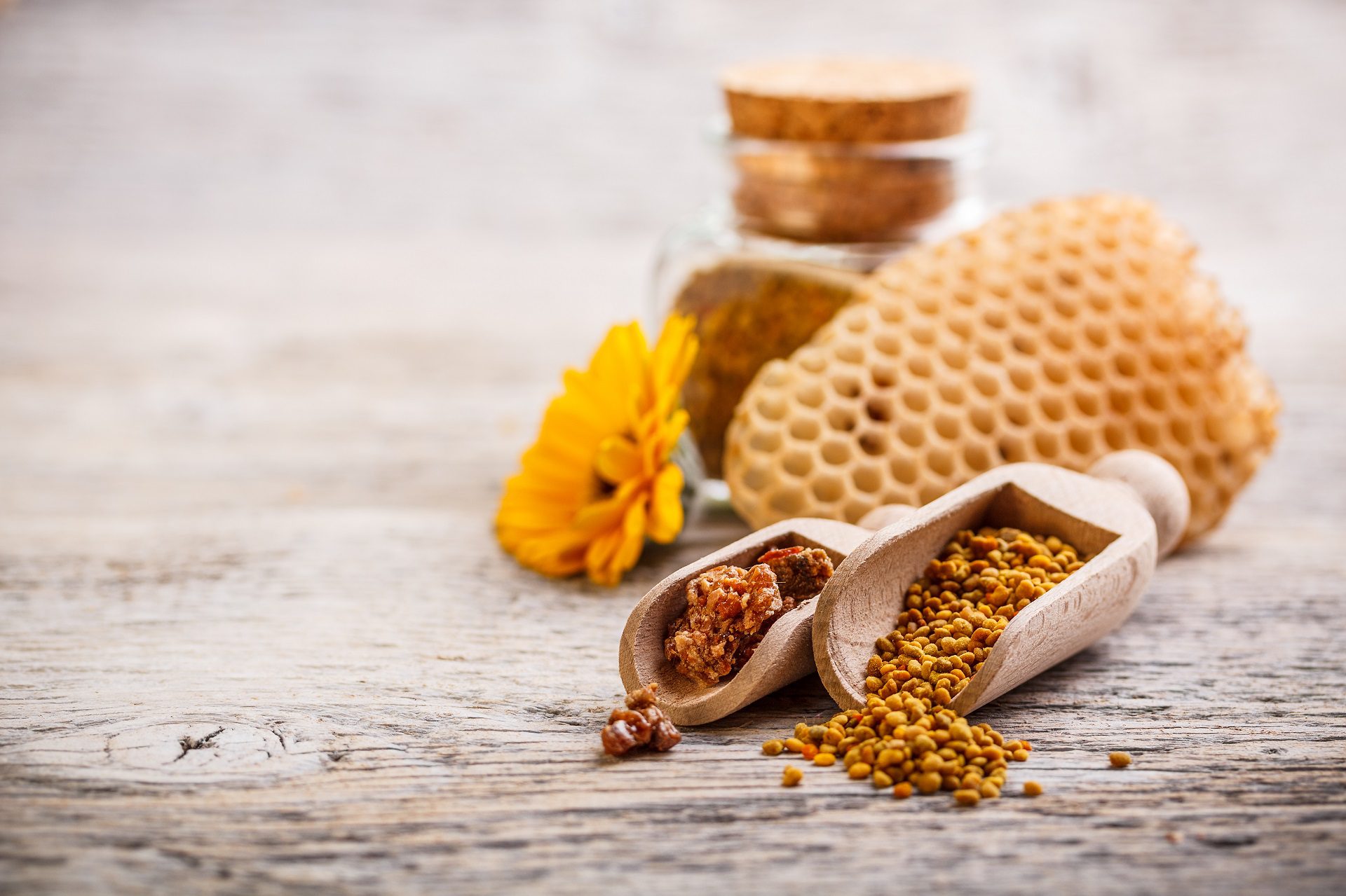 Pyłek pszczeli - na co pomaga i jak go jeść?